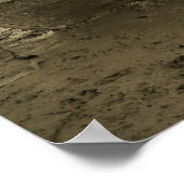 Poster Cottage Life (Coin)