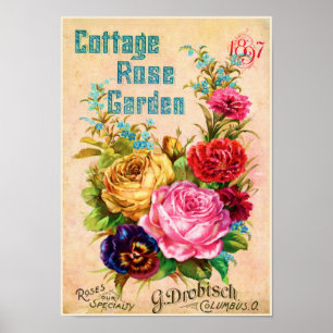Poster Cottage Rose Garden Annonce Vintage