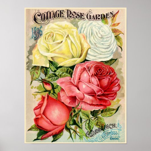 Poster Cottage Rose Garden Drobisch Annonce (Devant)