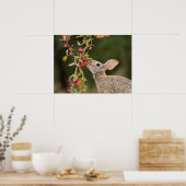 Poster Cottontail Est | Sud du Texas (Cuisine)