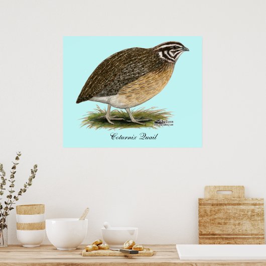 Poster Coturnix Pharaoh (Cuisine)