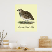 Poster Coturnix Quail (Cuisine)