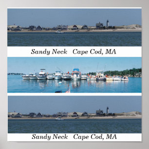 Poster Cou de Sandy