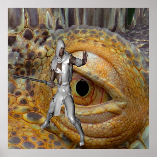 Poster Couche de dragon (Devant)