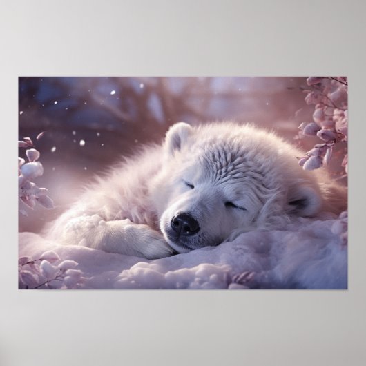 Poster couché de l'ours polaire (Devant)