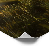 Poster Coucher de soleil (Coin)