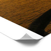 Poster coucher de soleil (Coin)