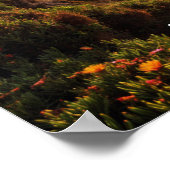 Poster Coucher de soleil à Cabo de Roca (Coin)