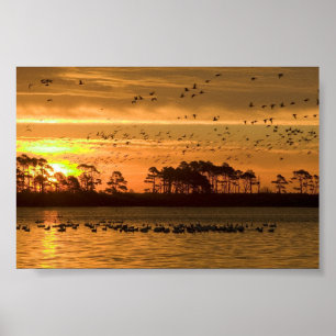 Poster Coucher de soleil à Chincoteague Wildlife Refuge V