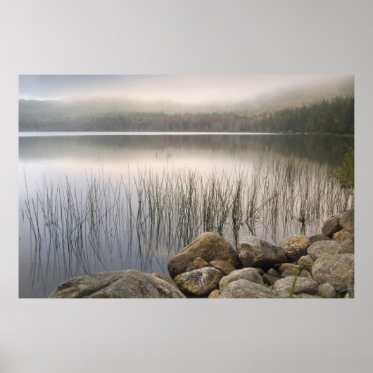 Poster Coucher de soleil à travers le brouillard sur l'ét (Devant)