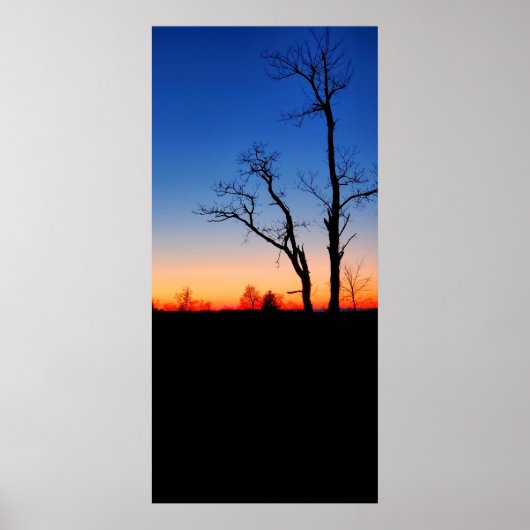 Poster Coucher de soleil à travers les arbres (Devant)
