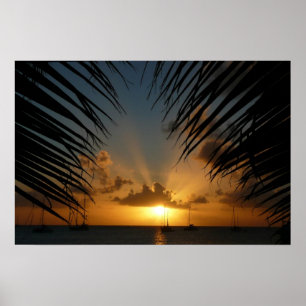Poster Coucher de soleil à travers les frondes de palmier