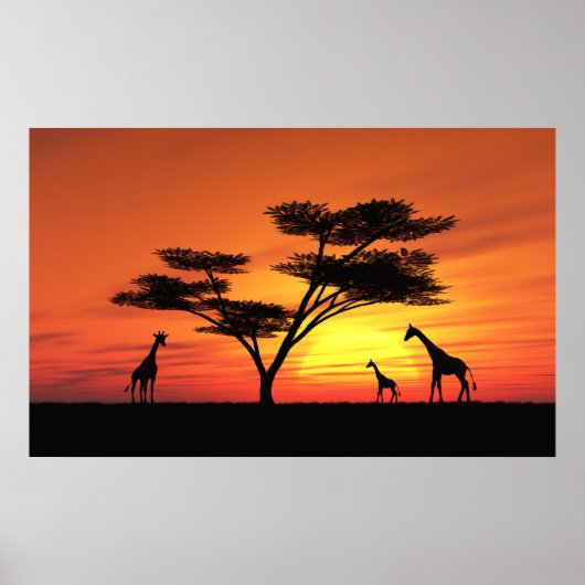 Poster Coucher de soleil africain (Devant)
