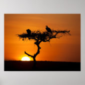 Poster Coucher de soleil africain orange et noir (Devant)