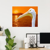 Poster Coucher de soleil américain de Pélican blanc à Cor (Bureau à domicile)