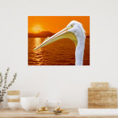 Poster Coucher de soleil américain de Pélican blanc à Cor (Cuisine)