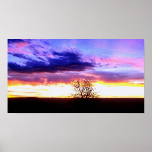 Poster Coucher de soleil au-delà de l'arbre_ (Devant)