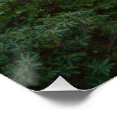 Poster Coucher de soleil au Rainbow Bridge à Grove City C (Coin)