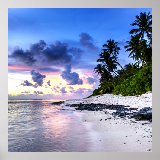 Poster Coucher de soleil avec palmiers et plage rocheuse (Devant)