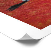 Poster Coucher de soleil blanc neige (Coin)