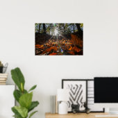 Poster Coucher de soleil brillant de la forêt feuille de  (Bureau à domicile)