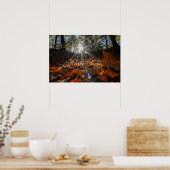 Poster Coucher de soleil brillant de la forêt feuille de  (Cuisine)