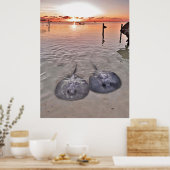 Poster Coucher de soleil Caye Caulker Stingray (Cuisine)