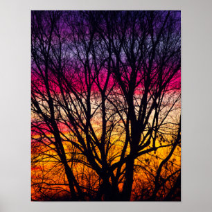 Poster Coucher de soleil coloré avec un arbre en silhouet