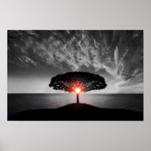 Poster Coucher de soleil : Couleur
