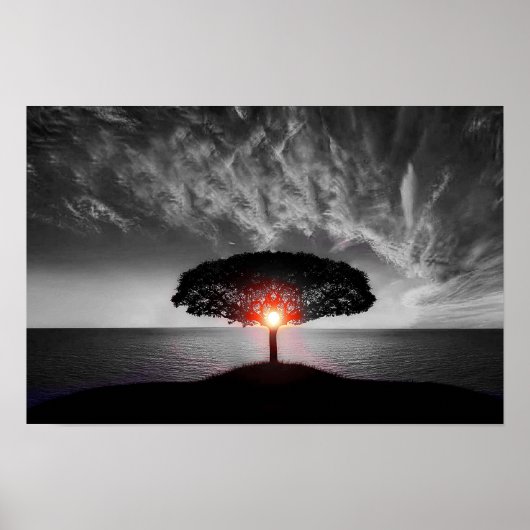 Poster Coucher de soleil : Couleur (Devant)