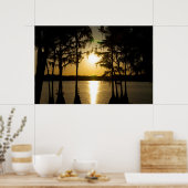 Poster Coucher de soleil Cypress (Cuisine)