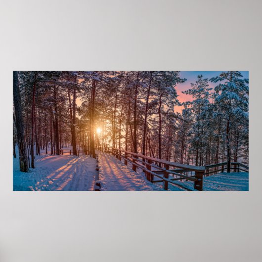 Poster Coucher de soleil dans la pinède enneigée avec ray (Devant)