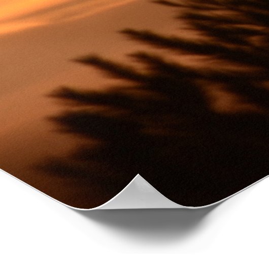Poster Coucher de soleil dans l'affiche de la forêt (Coin)