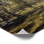 Poster Coucher de soleil dans le bois (Coin)