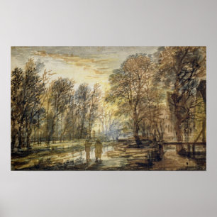 Poster Coucher de soleil dans le bois