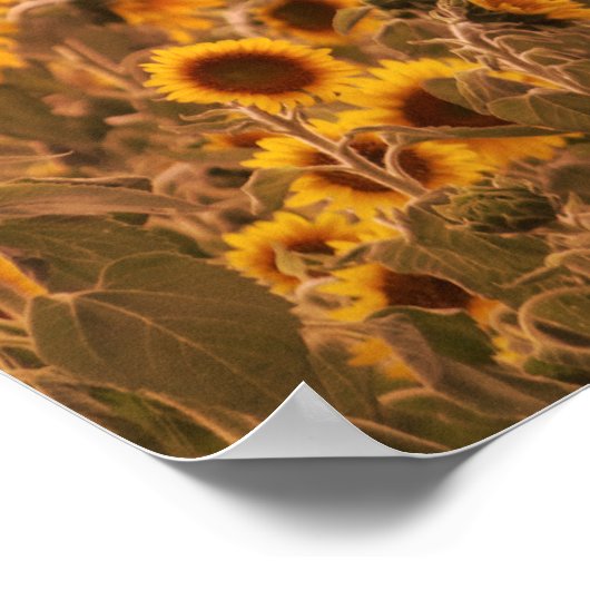 Poster Coucher de soleil dans un champ rural Couleur 16x2 (Coin)