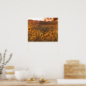 Poster Coucher de soleil dans un champ rural Couleur 16x2 (Cuisine)