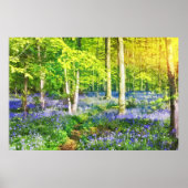 Poster Coucher de soleil dans une forêt bleue (Devant)