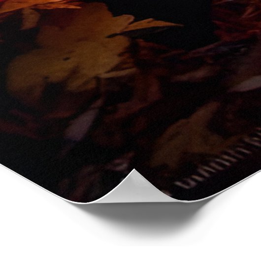 Poster Coucher de soleil d'automne (Coin)