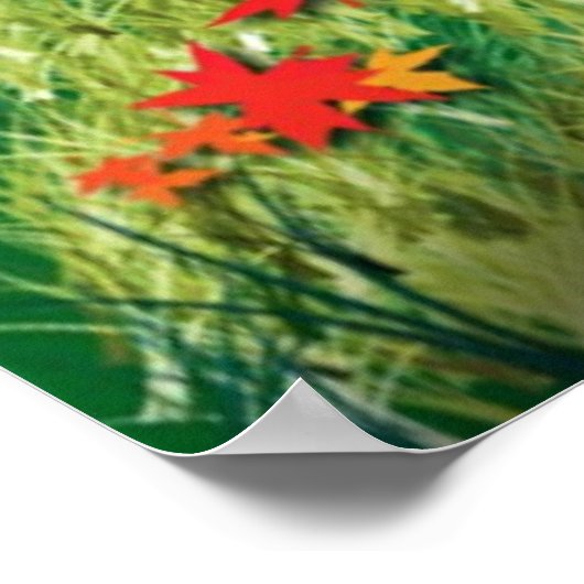 Poster Coucher de soleil d'automne (Coin)