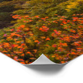 Poster Coucher de soleil d'automne à Beacon Heights (Coin)