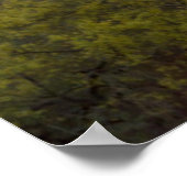 Poster Coucher de soleil de cactus du désert, Arizona (Coin)