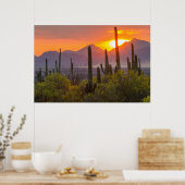 Poster Coucher de soleil de cactus du désert, Arizona (Cuisine)