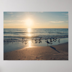 Poster Coucher de soleil de Clearwater Beach