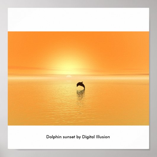 Poster Coucher de soleil de dauphin (Devant)