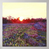 Poster Coucher de soleil de Farley 2012 (Devant)