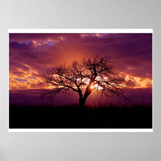 Poster Coucher de soleil de Flint Hills (Devant)