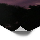 Poster Coucher de soleil de Floride violet et rose sur le (Coin)