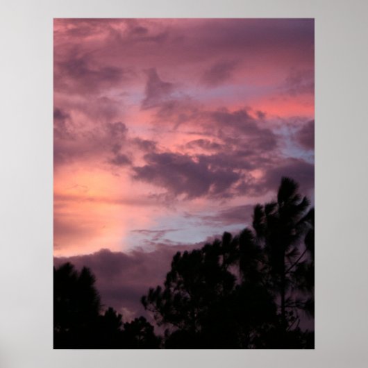 Poster Coucher de soleil de Floride violet et rose sur le (Devant)