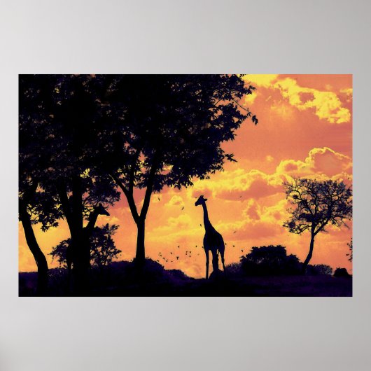 Poster coucher de soleil de girafe (Devant)